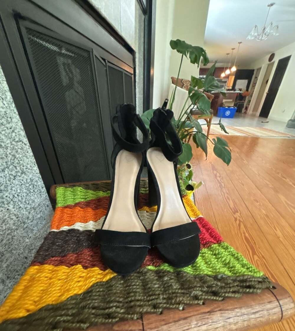 Wild Fable Women's Ankle Strap Chunky Heel Sandals in Black